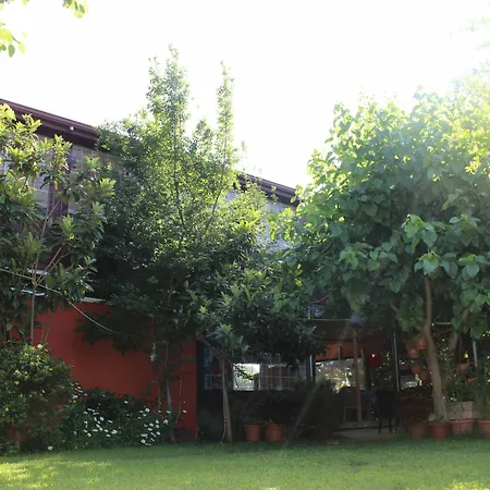 Otel Alibaba